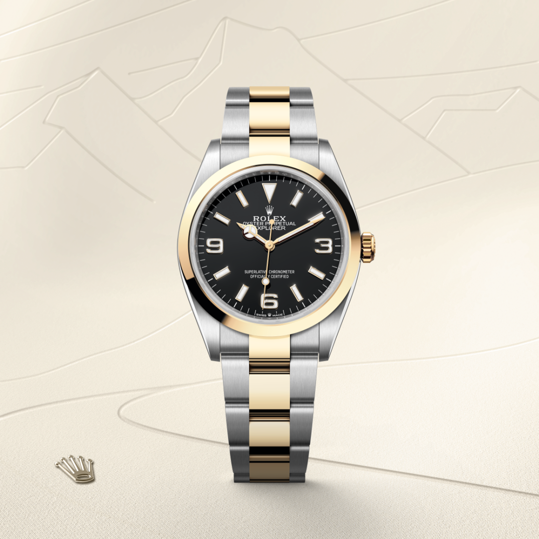 Explorer 36 view 1